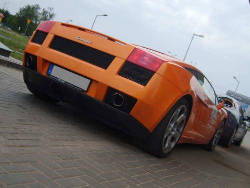Gallardo