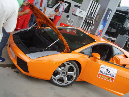 Gallardo