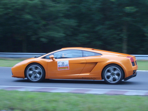 Gallardo