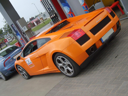 Gallardo