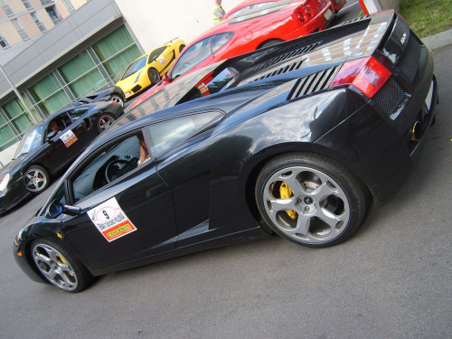 Gallardo