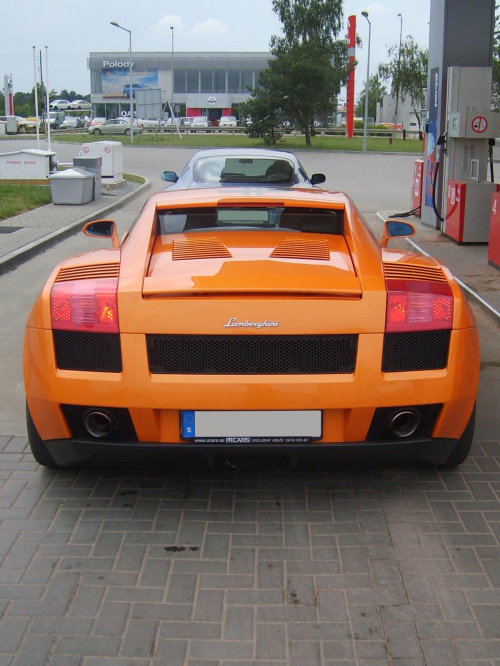 Gallardo