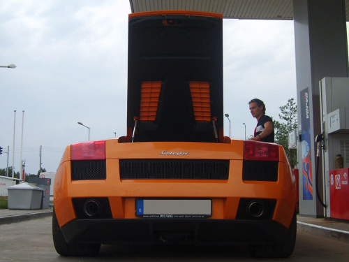 Gallardo