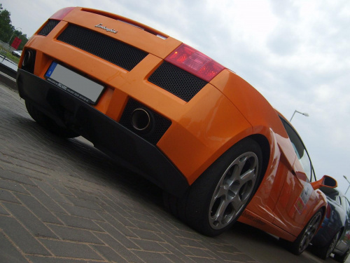 Gallardo