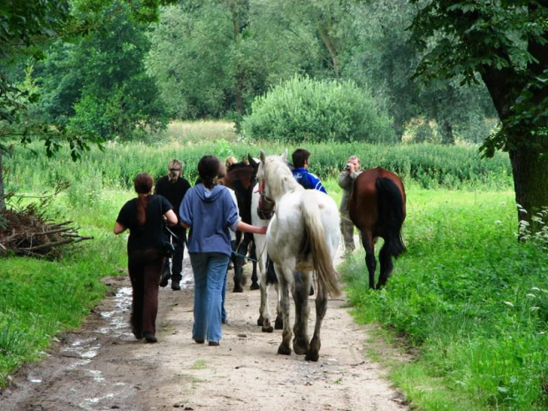 Nieszkowice, pastwisko wśród lasów
09.07.2007 #Fundacja #Tara #Nieszkowice #Scarlet