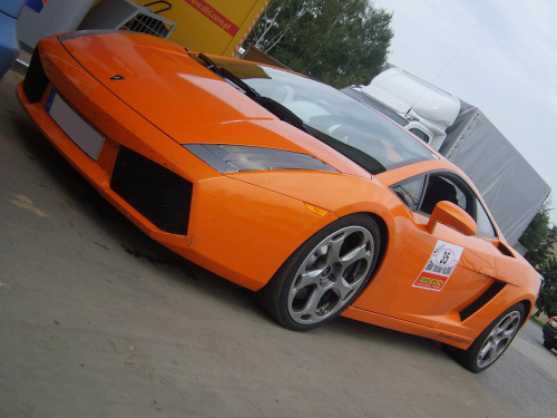 Gallardo