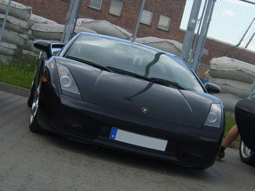 Gallardo