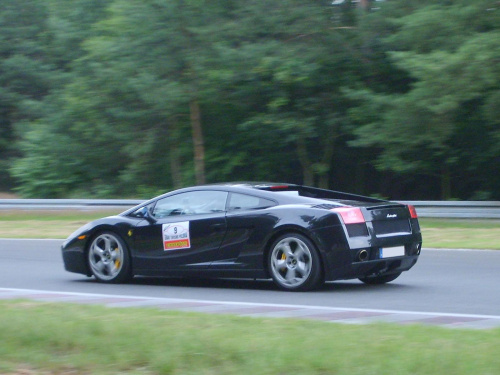 Gallardo
