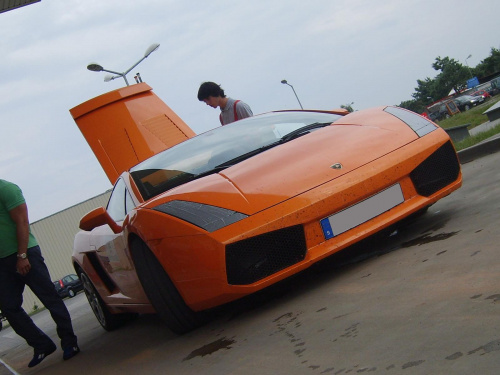 Gallardo