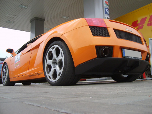 Gallardo