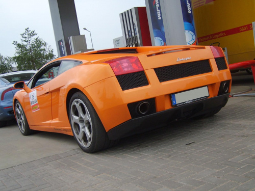 Gallardo