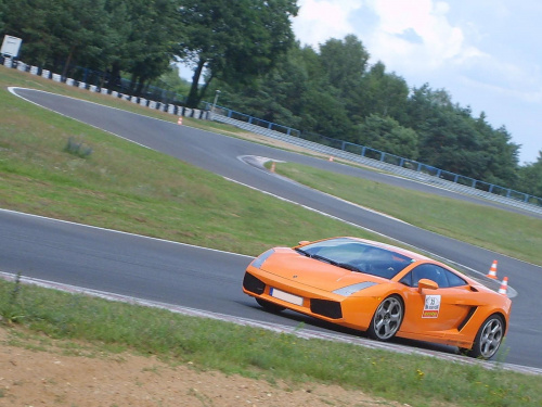 Gallardo
