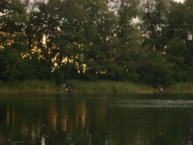 Widok z mojego stanowiska.