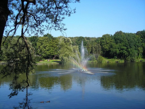 #fontanna #tęcza #woda #jezioro #park #widok #krajobraz