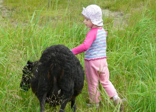 Z owieczką. #dziecko