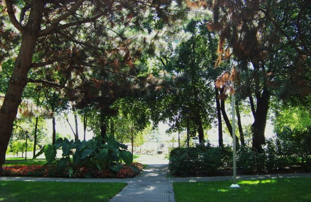 Rosetta McClain Garden - Toronto
16 wrzesnia 2008 #park #Toronto #Wrzesien2008