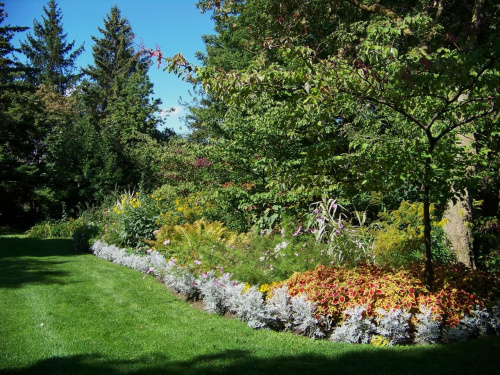 Rosetta McClain Garden - Toronto
16 wrzesnia 2008 #park #Toronto #Wrzesien2008