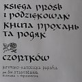 Pielgrzymi z kraju przywieźli kopię obrazu Matki Boskiej, którą ufundowała rodzina Ostrowskich pochodząca z Czortkowa.