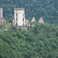 Czerwonogród był najstarszą osadą na terenach byłego województwa tarnopolskiego, powstał w IX wieku. Jedna z hipotez historycznych wiąże genezę pochodzenia nazwy Rusi Czerwonej od miejscowości Czerwonogród.