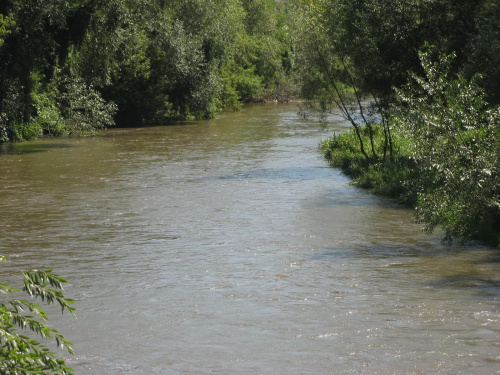 Widok na Seret z mostu w Czortkowie.