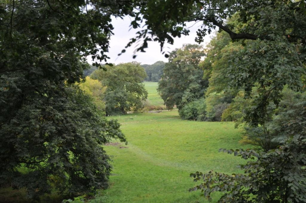 Park dębowy w Rogalinie