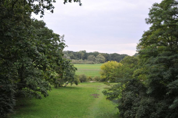 Park dębowy w Rogalinie