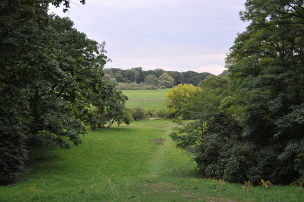 Park dębowy w Rogalinie