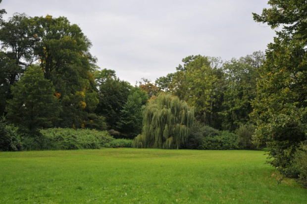 Park Arboretum w Kórniku