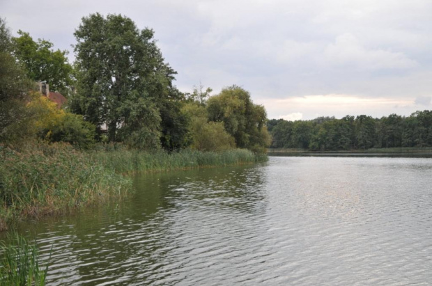 Jezioro Kórnickie popołudniową porą (Wielkopolska)