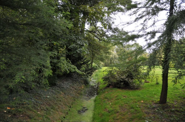 Park Arboretum w Kórniku