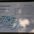 Park Arboretum w Kórniku