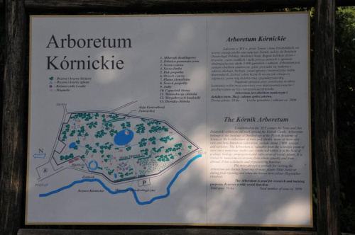 Park Arboretum w Kórniku