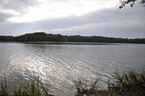 Jezioro Kórnickie popołudniową porą (Wielkopolska)