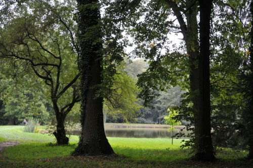 Park Arboretum w Kórniku