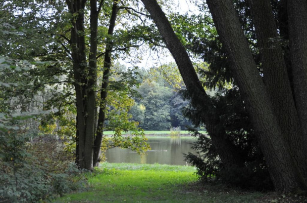 Park Arboretum w Kórniku