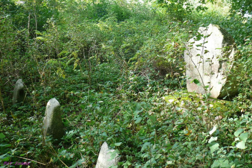 Nowe Drygały - cmentarz wiejski w Nowych Drygałach #NoweDrygały