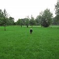 na spacerku , dwa dni przed upałami #spacer #dziecko #park