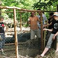 międzynarodowy wolontariat - Fundacja Tara - Lipiec 2007 #Fundacja #Tara #Nieszkowice #Scarlet