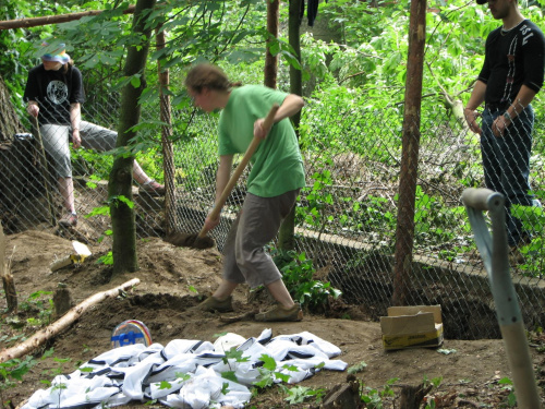 międzynarodowy wolontariat - Fundacja Tara - Lipiec 2007 #Fundacja #Tara #Nieszkowice #Scarlet