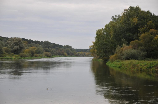 Warta kilka kilometrów przed Poznaniem w miejscowości Puszczykowo