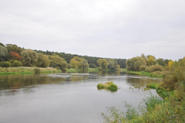 Warta kilka kilometrów przed Poznaniem w miejscowości Puszczykowo