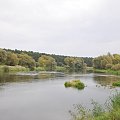 Warta kilka kilometrów przed Poznaniem w miejscowości Puszczykowo