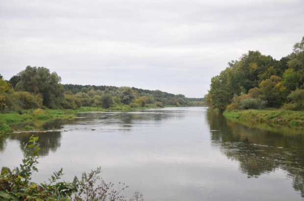 Warta kilka kilometrów przed Poznaniem w miejscowości Puszczykowo