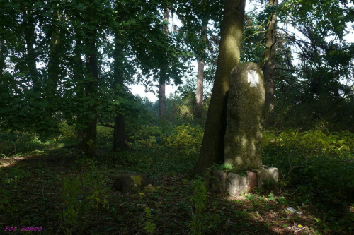 Nowe Drygały - Kwatera wojenna na cmentarzu wiejskim w Nowych Drygałach #NoweDrygały