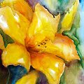 lilia olej 30-40 #lilie #kwiaty #malarstwo