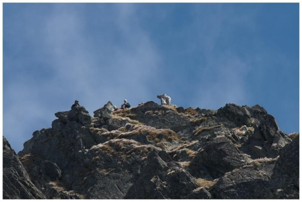 tatry