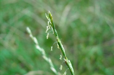 przyroda #przyroda #widoczki #kielce