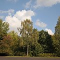 Jezioro Rusałka w Poznaniu.