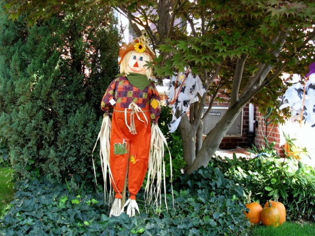 Amerykański HALOWEEN