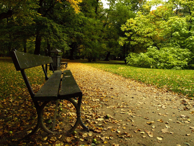 #park #jesień #ławka